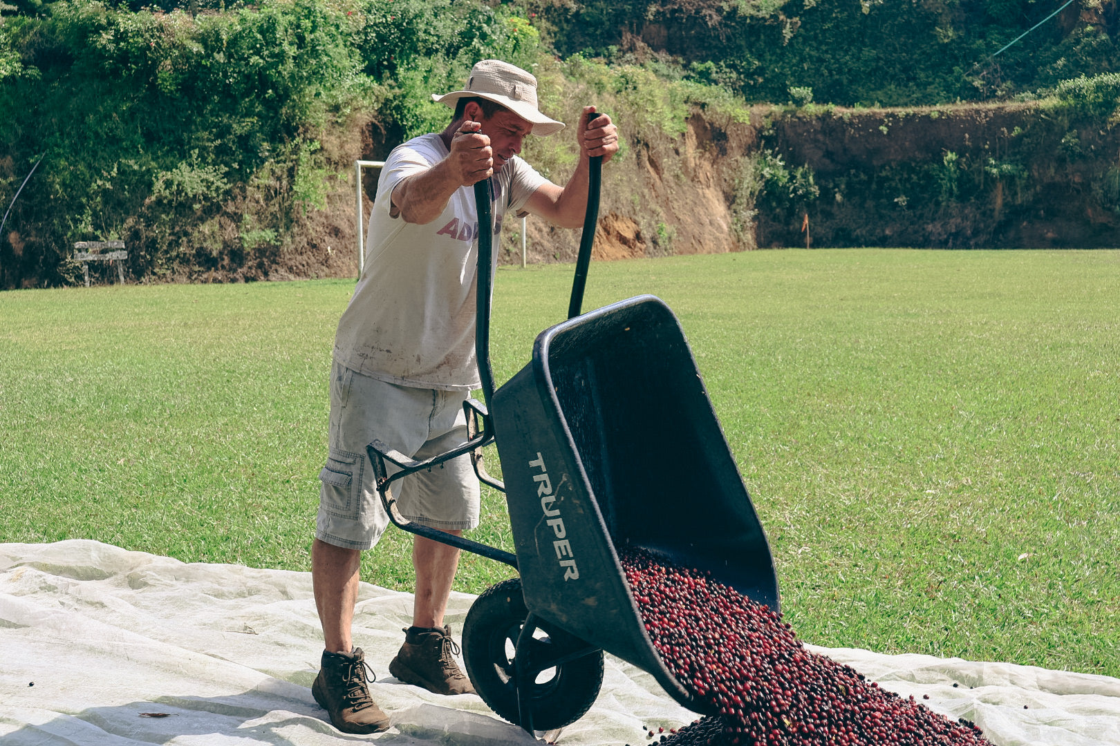 Los Robles, Costa Rica