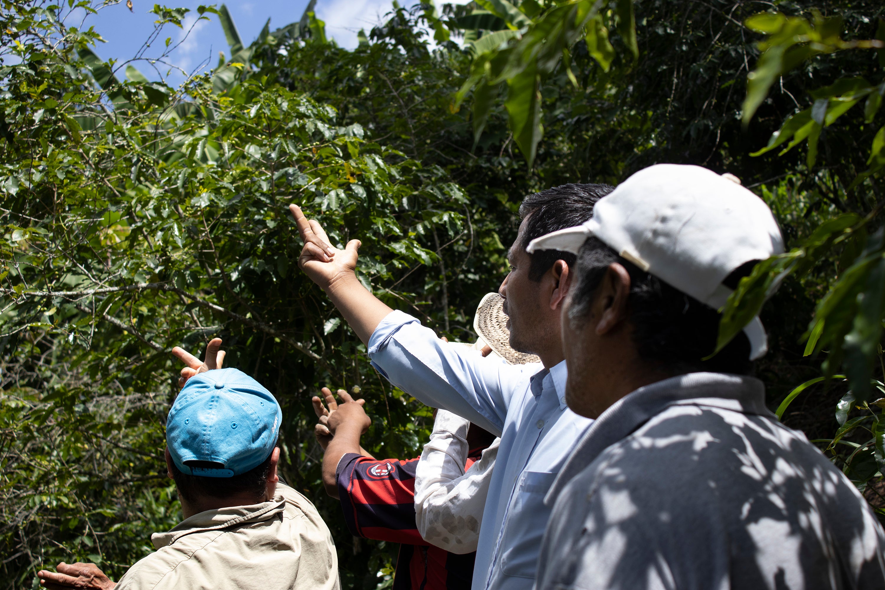 Huipil, Mexico