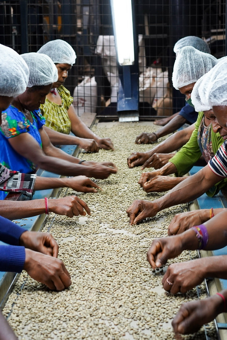 Kongo, Papua New Guinea