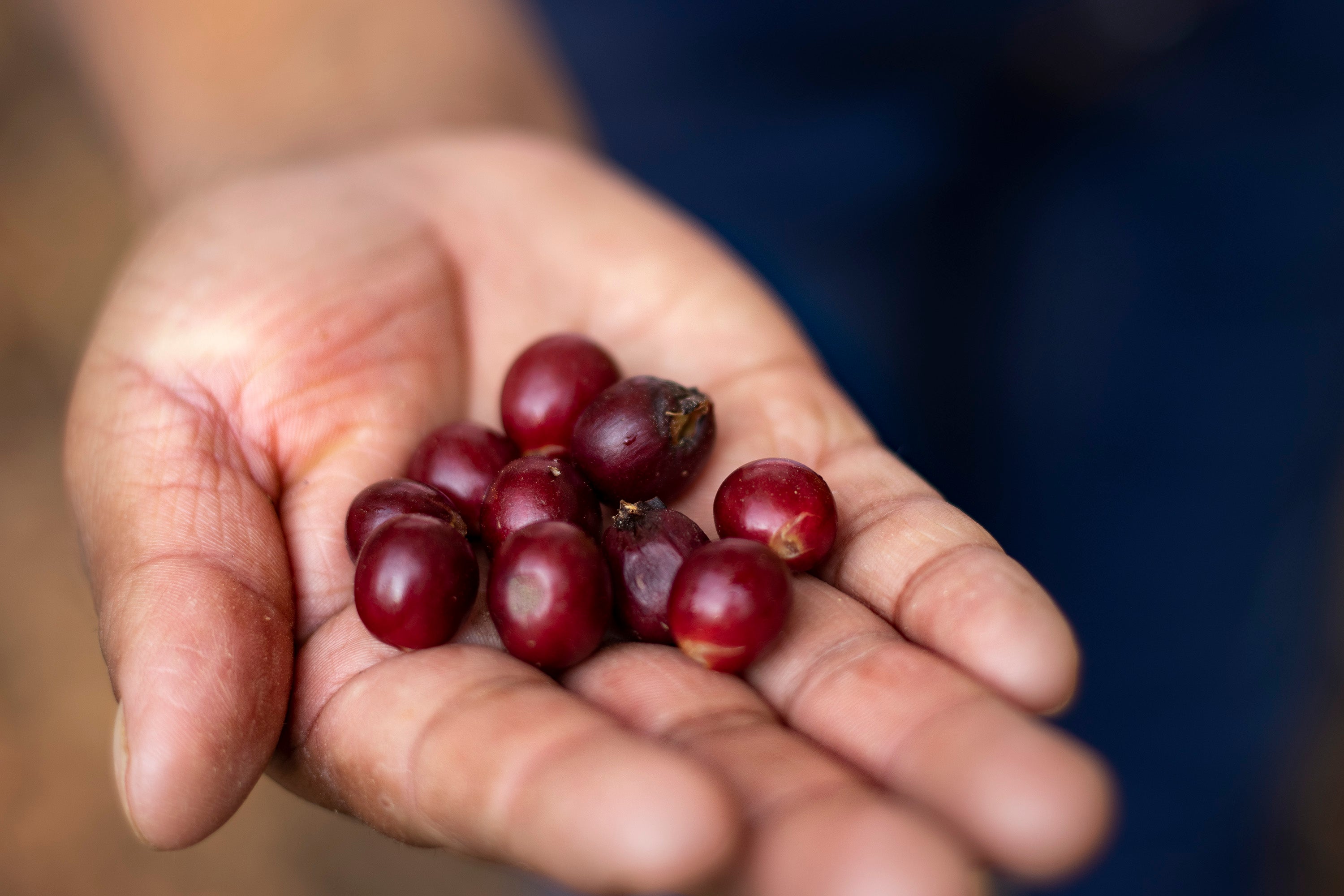 Loma Ocotitlan, Mexico