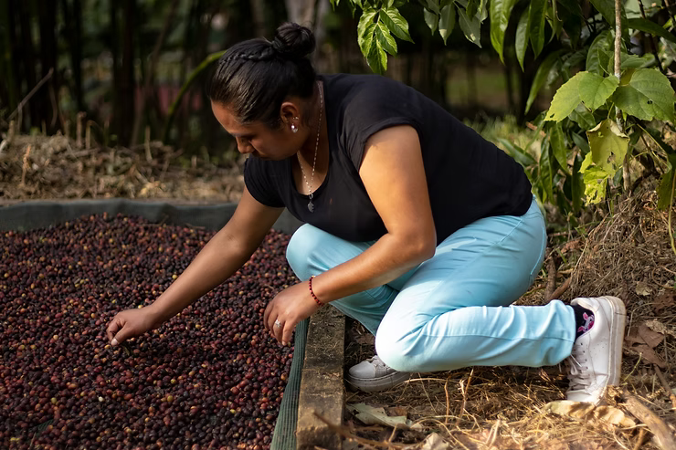 Loma Ocotitlan, Mexico