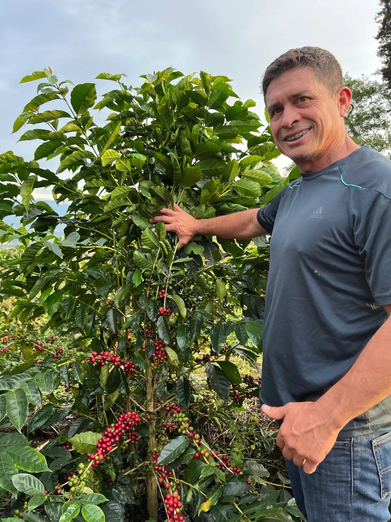 Los Robles, Costa Rica