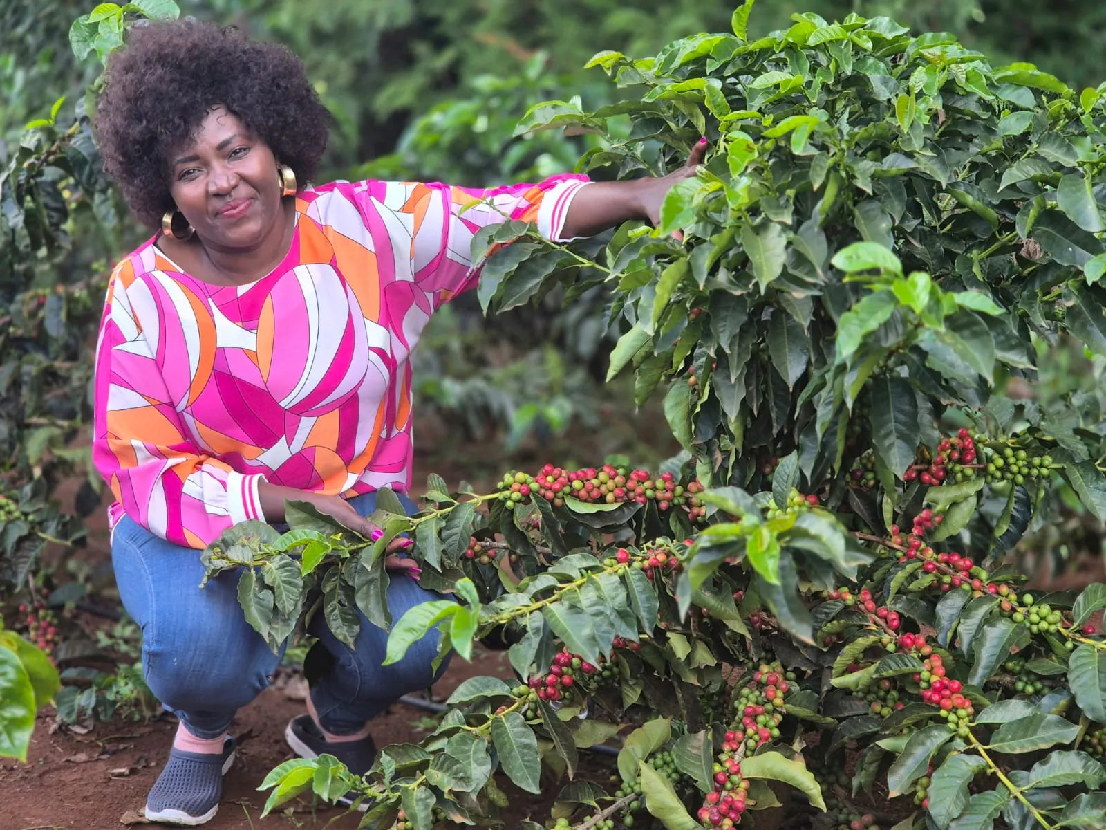Lillian’s Farm, Kenya