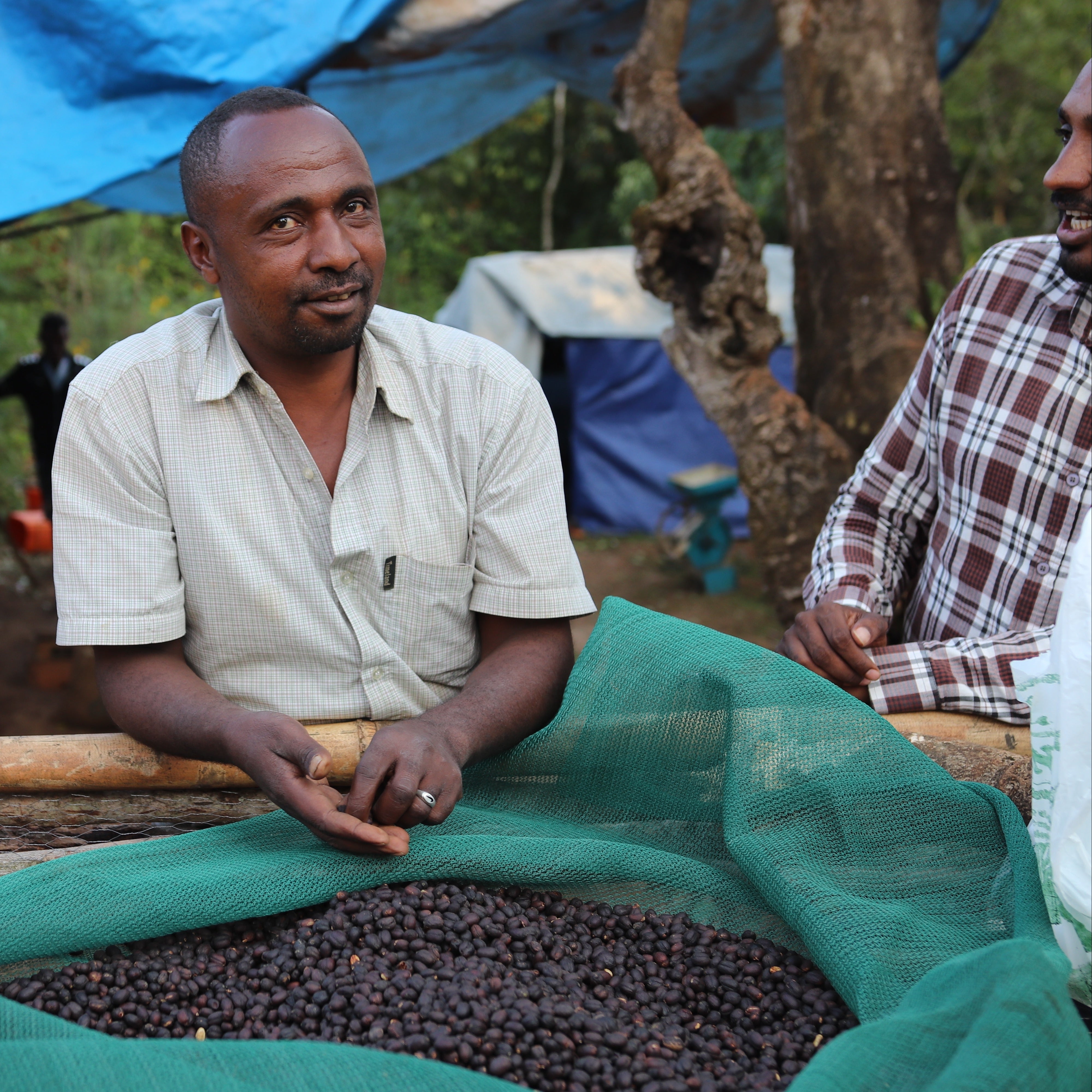 Beshasha, Ethiopia