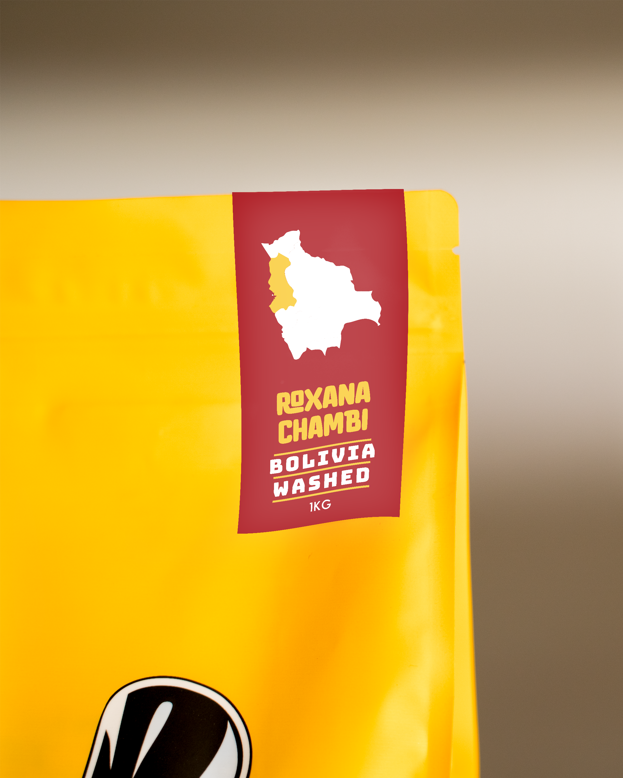 Roxana Chambi, Bolivia