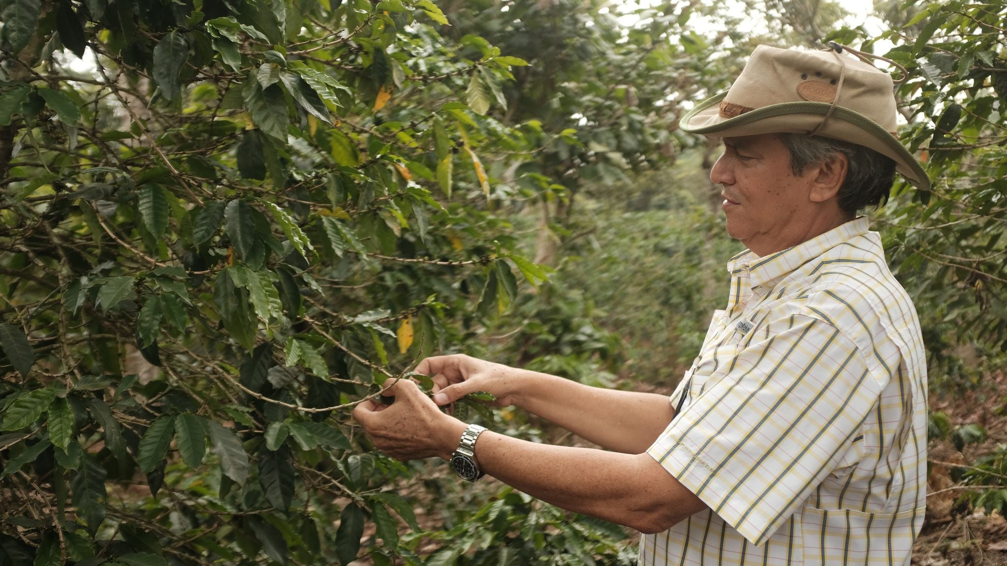 El Carmen Anaerobic, El Salvador